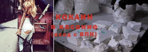 сатива Осинники