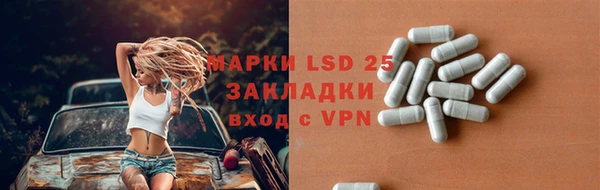 сатива Осинники