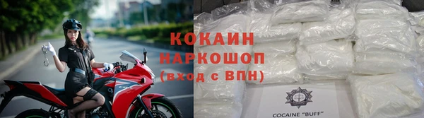 прущие грибы Нягань