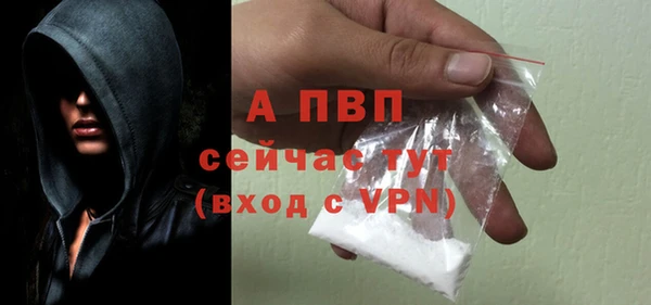 сатива Осинники