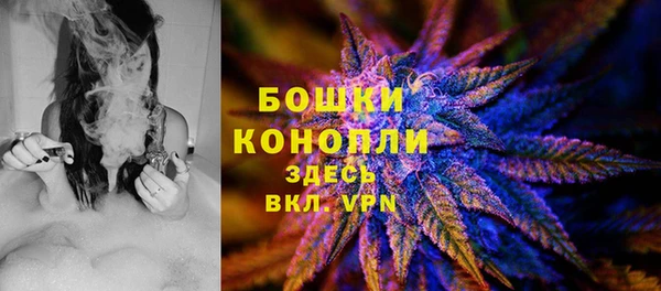 сатива Осинники