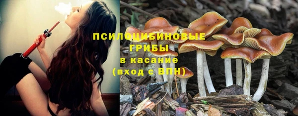 спиды Галич