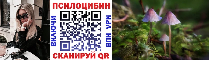 цена   Харовск  Галлюциногенные грибы Psilocybe 